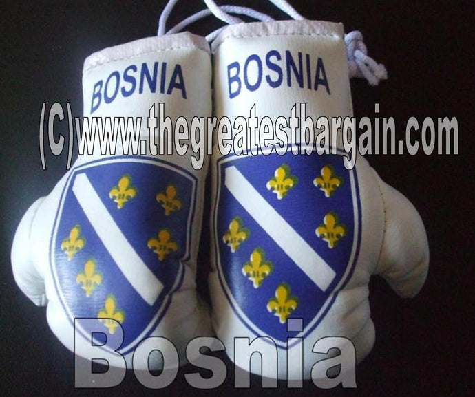 Bosnia Flag Mini Boxing Gloves