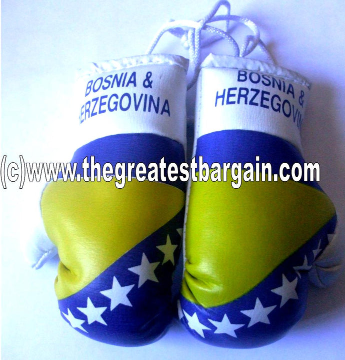 Bosnia and Herzegovina Flag Mini Boxing Gloves