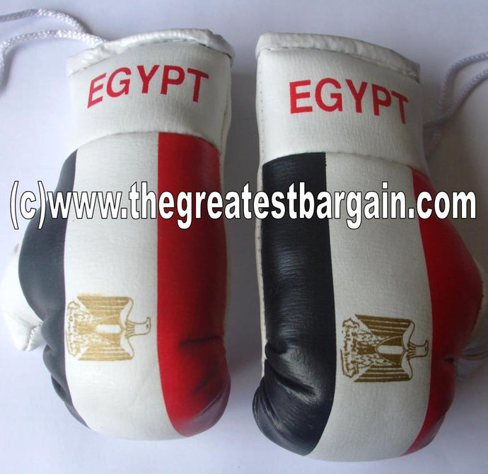 Egypt Flag Mini Boxing Gloves