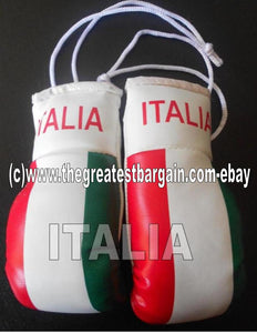 Italy/Italia Flag Mini Boxing Gloves