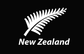 New Zealand Fern Flag- Large 150 cm x 90 cm
